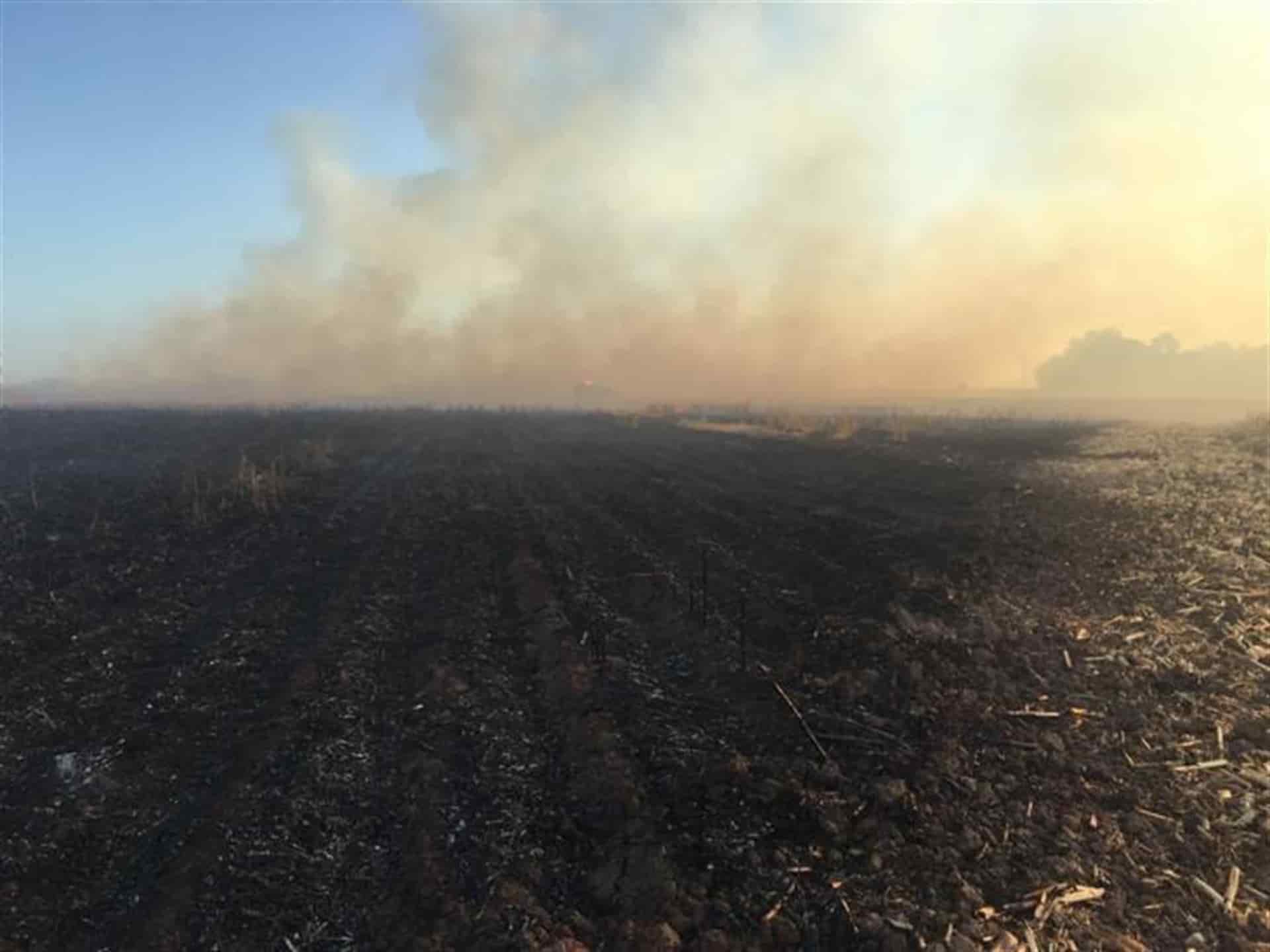 Investiga Ayuntamiento casos de quema de soca en Ahome