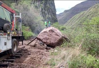 Cancelan de manera indefinida salidas del Chepe Express y del Regional