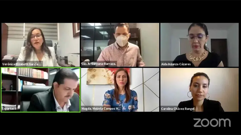 FOTO: Captura de videoconferencia.