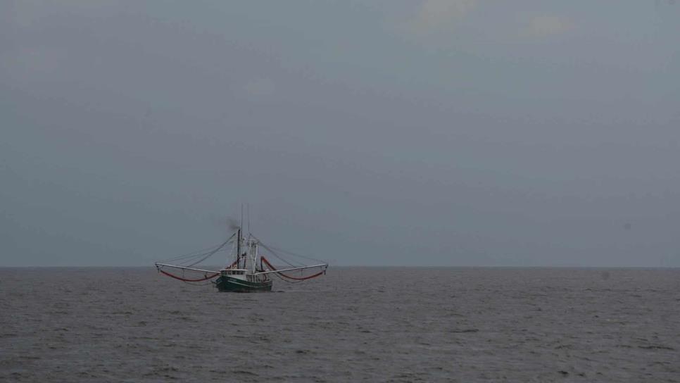 Refuerzan medidas para proteger a la vaquita marina