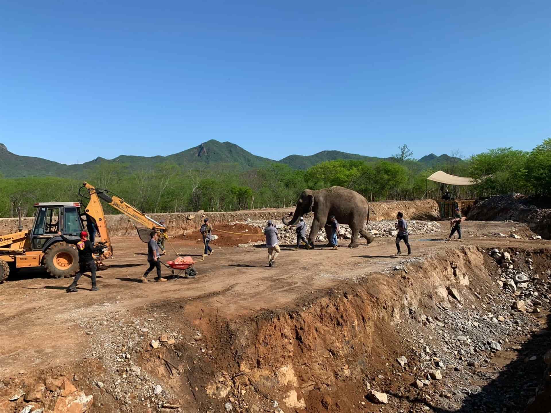 Trasladan a Big Boy al Santuario Ostok en Culiacán