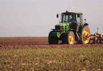 Productores de Sinaloa, en contra de la eliminación del seguro agrícola