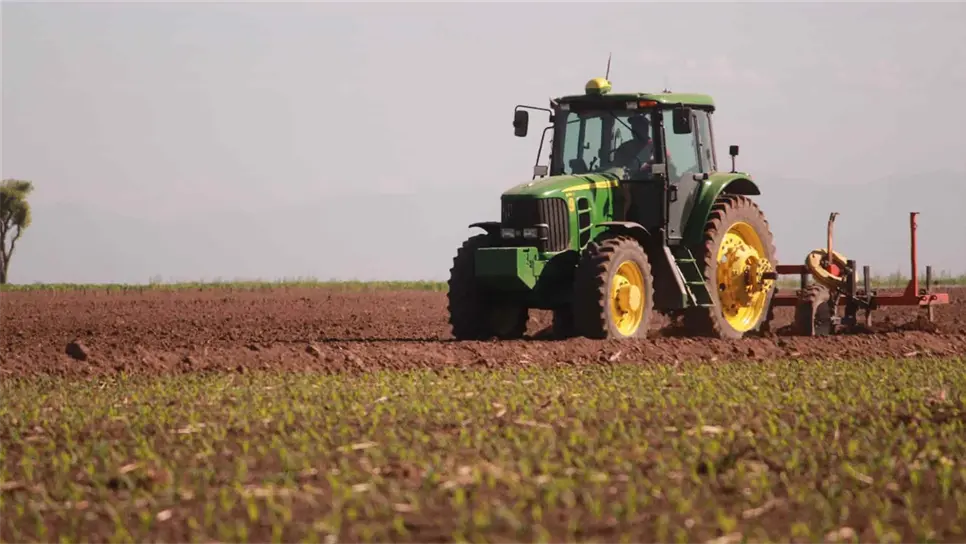 Productores de Sinaloa, en contra de la eliminación del seguro agrícola
