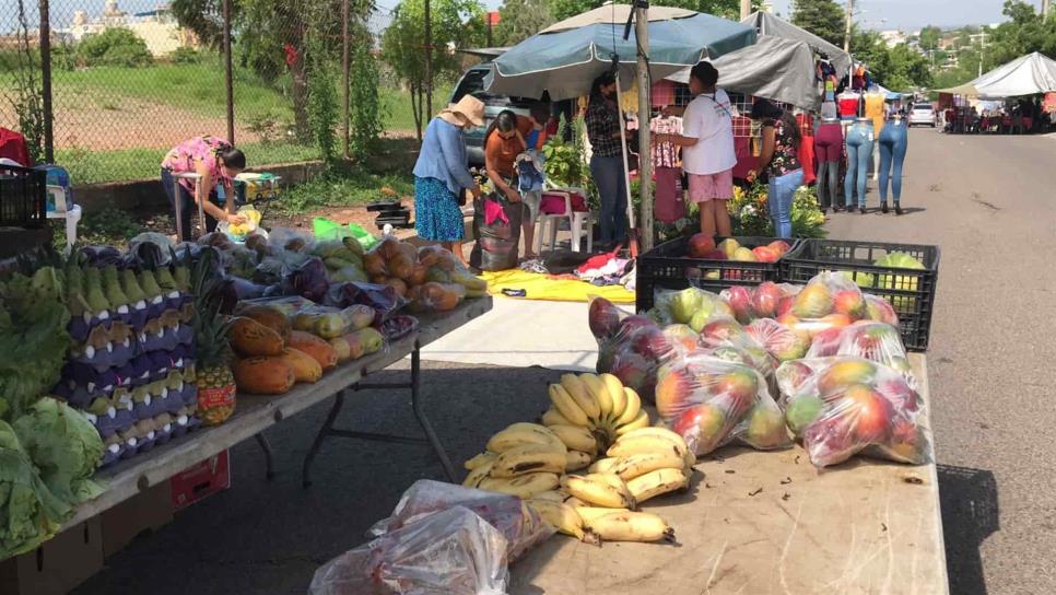 ¡Que siempre no! Tianguis sí abrirán y gimnasios operarán al 50 % en Culiacán