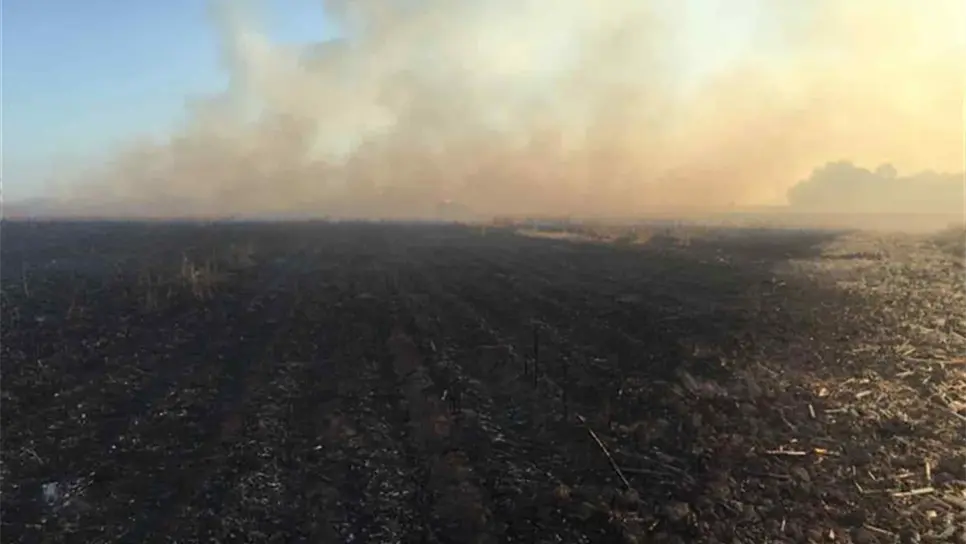 CAP se opone a sanciones drásticas contra productores por la quema de soca