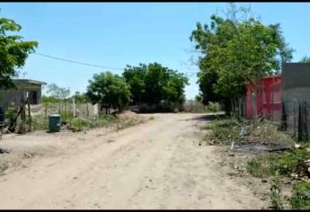 Colonia Camino Real, 20 años sin luz y con problemas de inseguridad