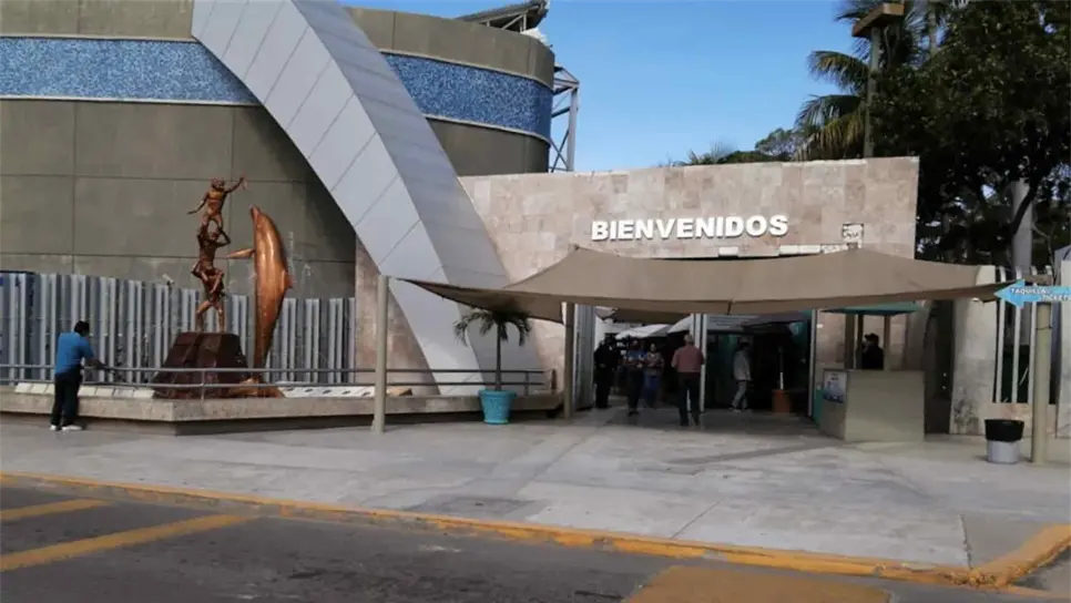 Acuario Mazatlán recorre exhibiciones para evitar aglomeraciones