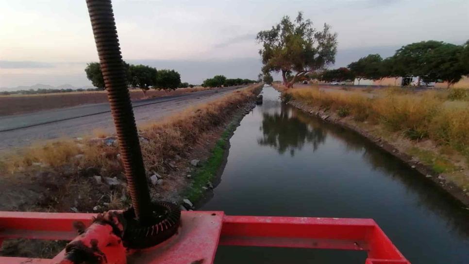 Módulos de riego quedan desfalcados por sequía en Sinaloa: AURPAES