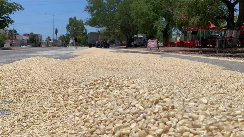 Camión derrama toneladas de maíz sobre la Mochis-Topolobampo