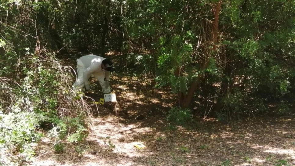 Hallan osamenta en terreno enmontado en Navolato