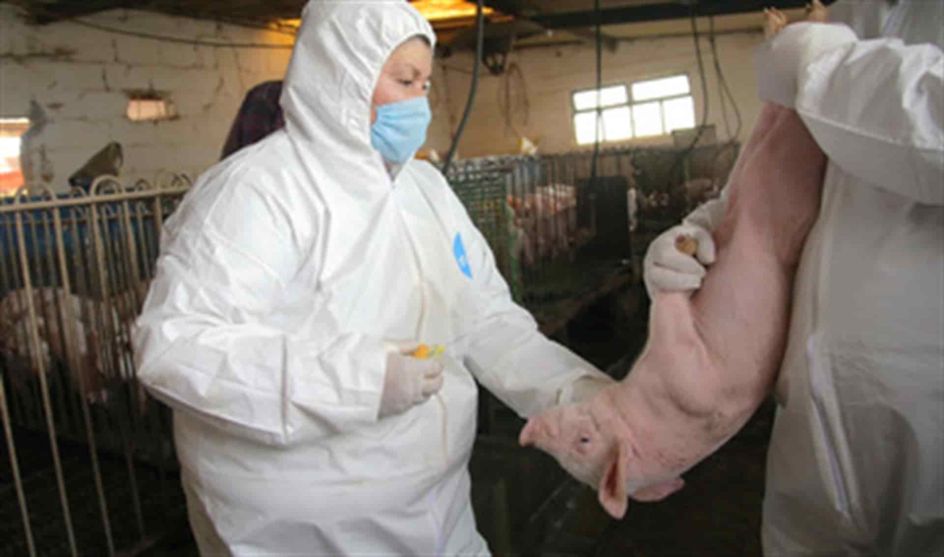 FOTO: https://www.gob.mx/senasica