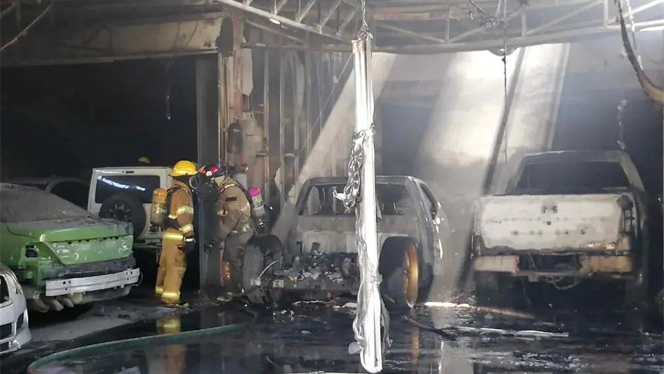 Rescatan a tres cachorros de voraz incendio en taller de Mazatlán; otros cuatro mueren