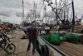 En plena veda se han decomisado 18 kg de camarón al sur del estado