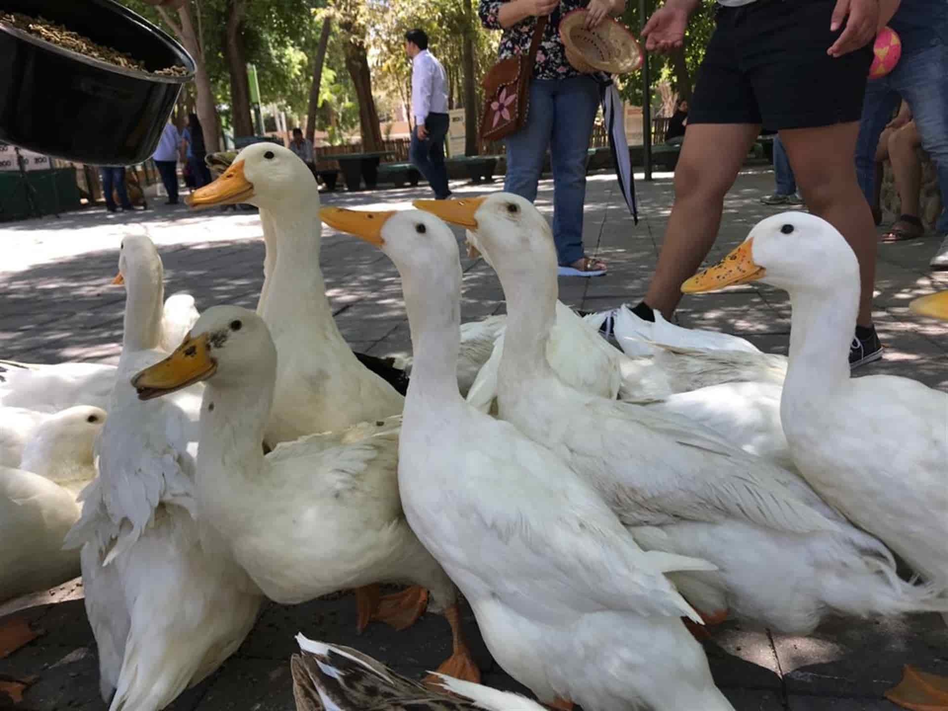 FOTO: Brianda López.