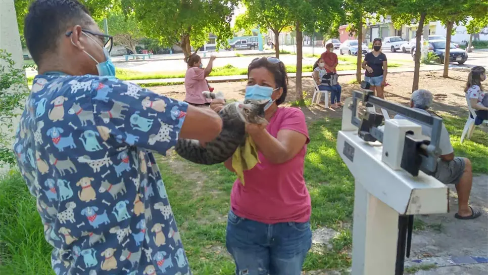 Responden colonias populares a campañas de esterilización de mascotas