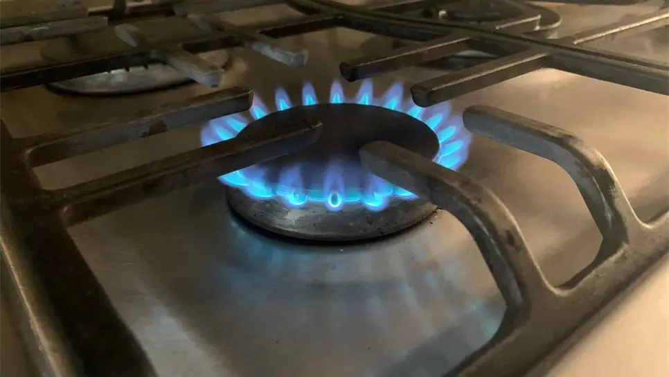 Temen empresarios que regulación de precios del Gas LP les perjudique