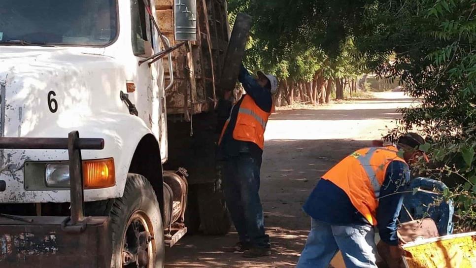 SSa llama a las familias del norte a sumarse a campañas contra el dengue