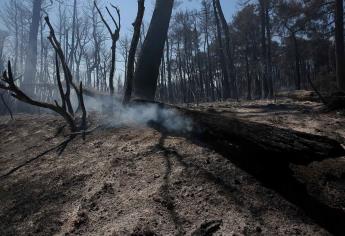 La ciencia admite ya efectos irreversibles del cambio climático en el planeta