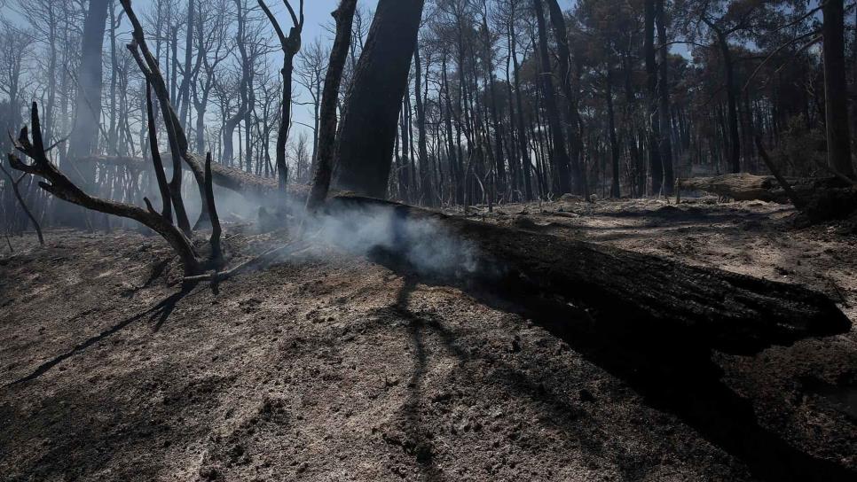 La ciencia admite ya efectos irreversibles del cambio climático en el planeta