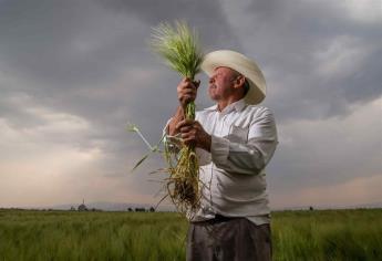 Cerveza, principal producto agroindustrial de exportación de México