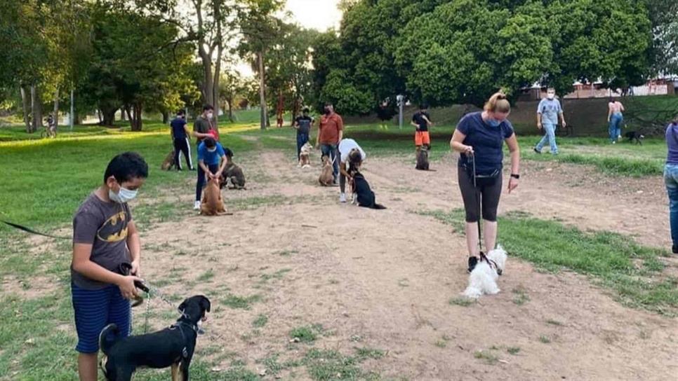 Día Mundial del Perro: nada que celebrar y mucho que concientizar