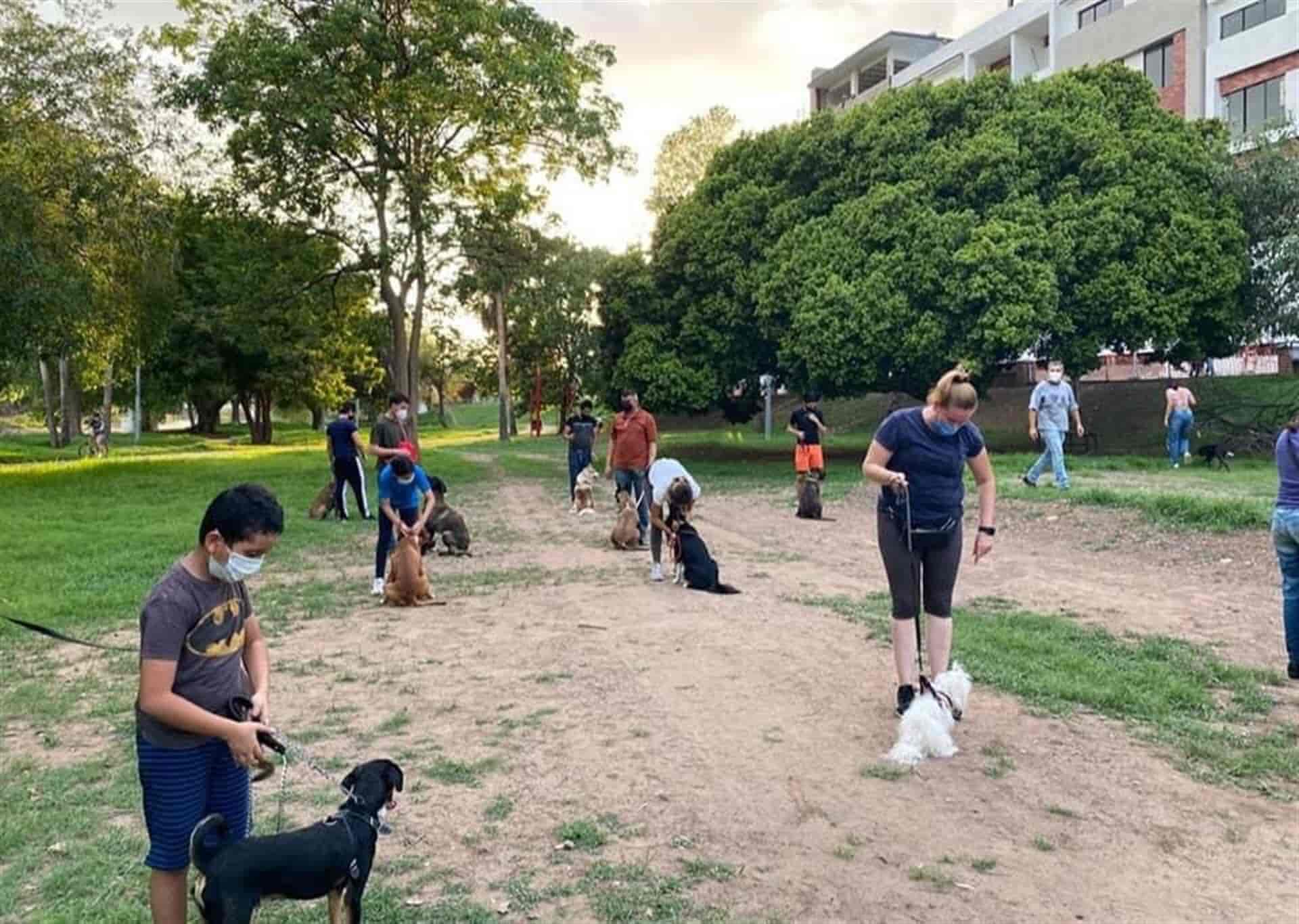 Ernesto mejora comportamiento de más de 100 perros en Culiacán