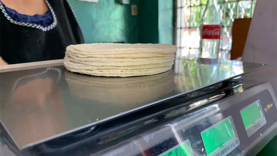 FOTO: Luz Noticias | Archivo.