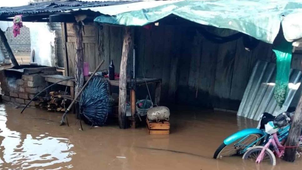 Hasta mil casas están afectadas en El Rosario por lluvias del miércoles