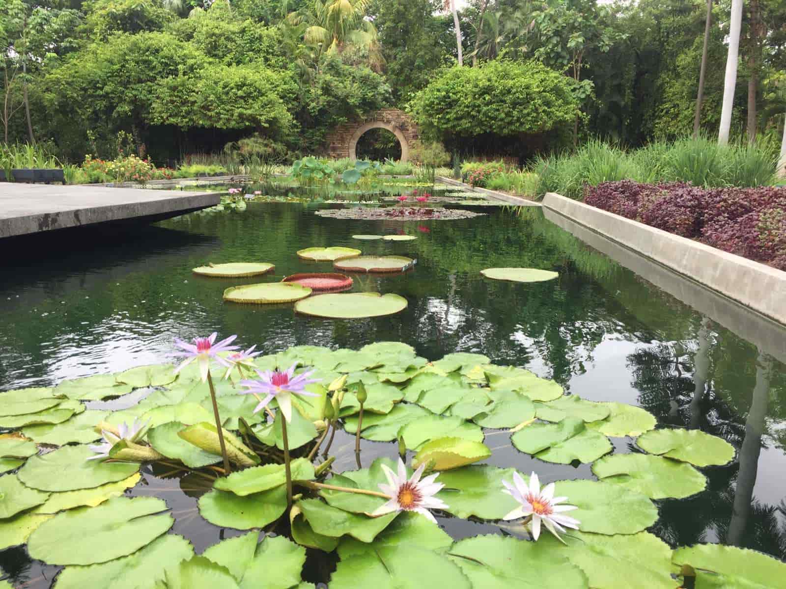 Desde recorridos nocturnos hasta proyección de películas, conoce las actividades del Botánico