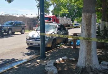 Adulto muere por picaduras de abejas en el Parque Industrial Canacintra de Culiacán