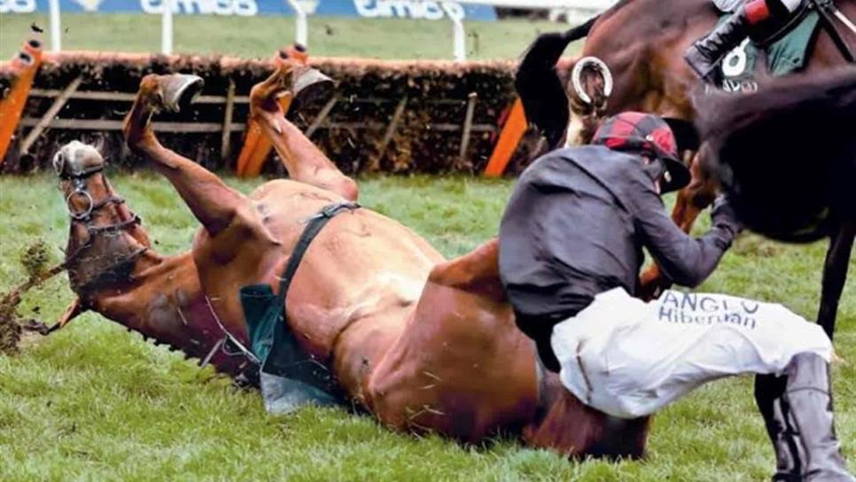 Muere caballo de carreras después de ser drogado con cocaína por su dueño