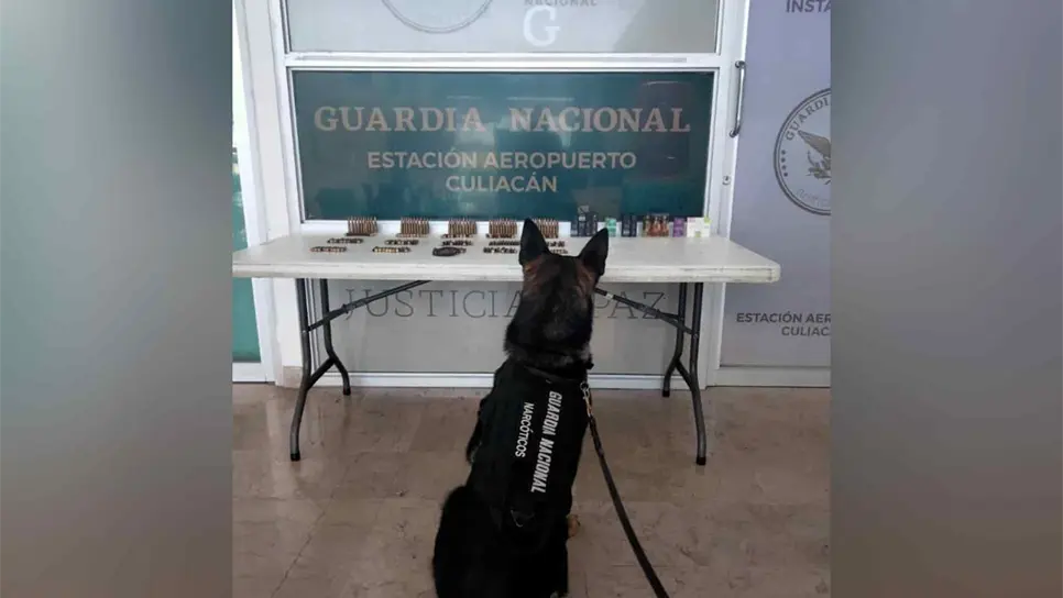 Aseguran municiones para arma larga  y extracto de cannabis en paquetería de Culiacán