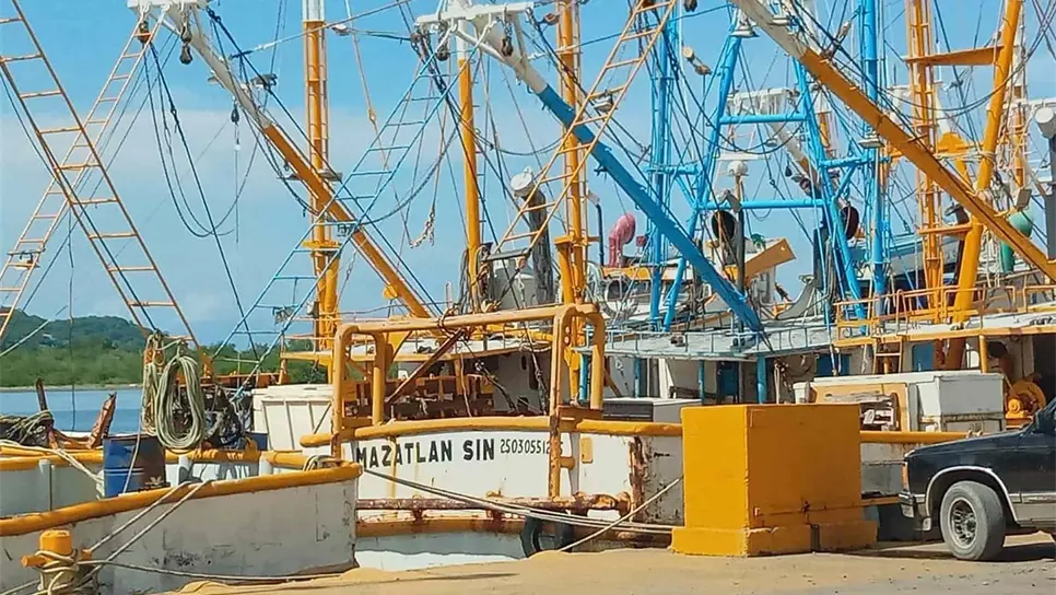 Pescadores de Mazatlán reclaman apoyo de Bienpesca