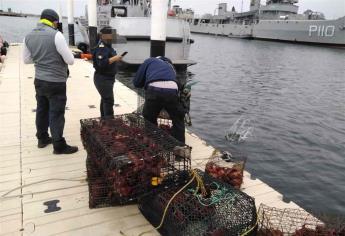 Detectan pesca ilegal de langosta roja en Baja California