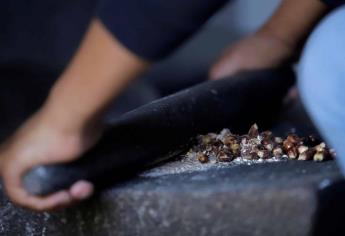 Un helado de maíz azul reivindica los orígenes alimenticios mexicanos