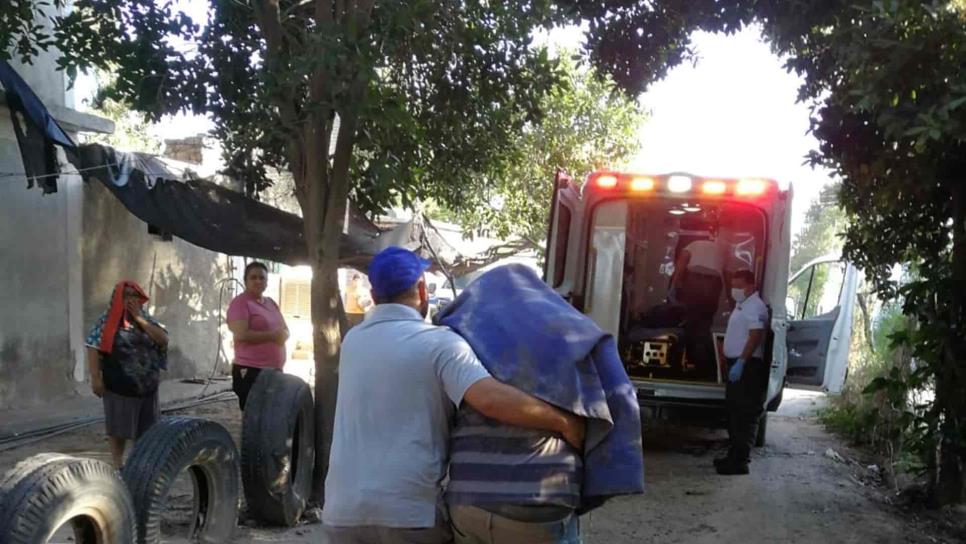 Hombre termina lesionado tras ser atacado por las abejas en Higuera de Zaragoza