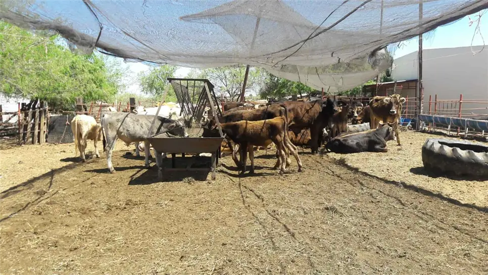 FOTO: Archivo Luz Noticias.