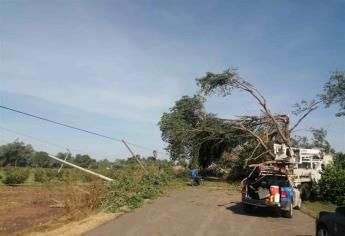 Tormenta deja múltiples daños en su paso por el municipio de Guasave