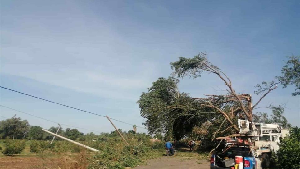 Tormenta deja múltiples daños en su paso por el municipio de Guasave