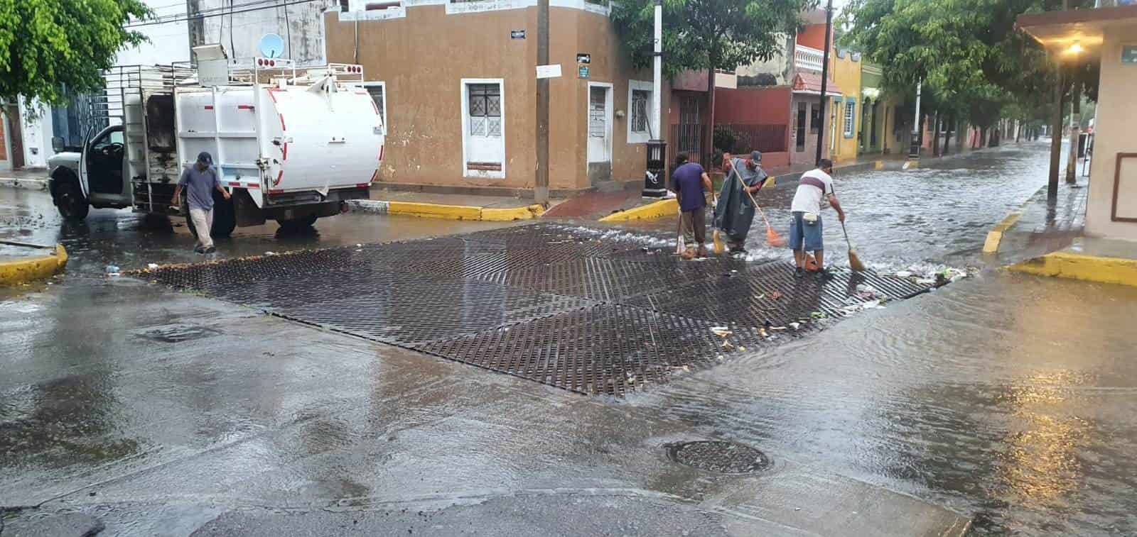 Imagen Placeholder