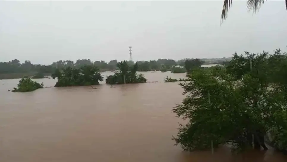 El desbordamiento del río presidio provocó pérdidas en el agro del sur de Sinaloa. FOTO: Luz Noticias.
