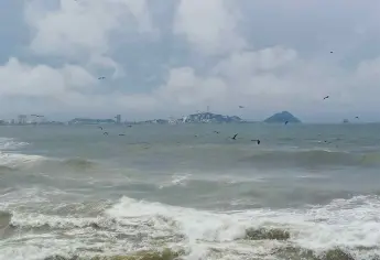 Llaman a embarcaciones menores de Mazatlán a refugiarse por alerta de tsunami tras sismo en Rusia
