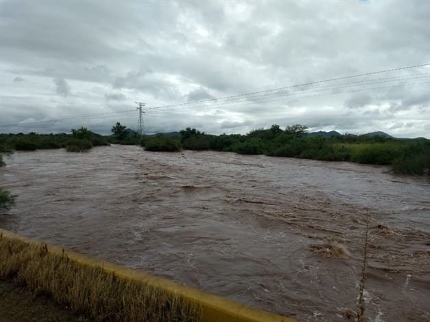 Imagen Placeholder