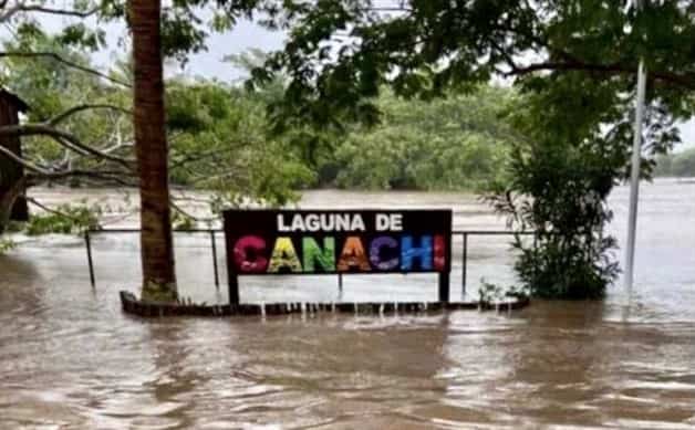 Imagen Placeholder