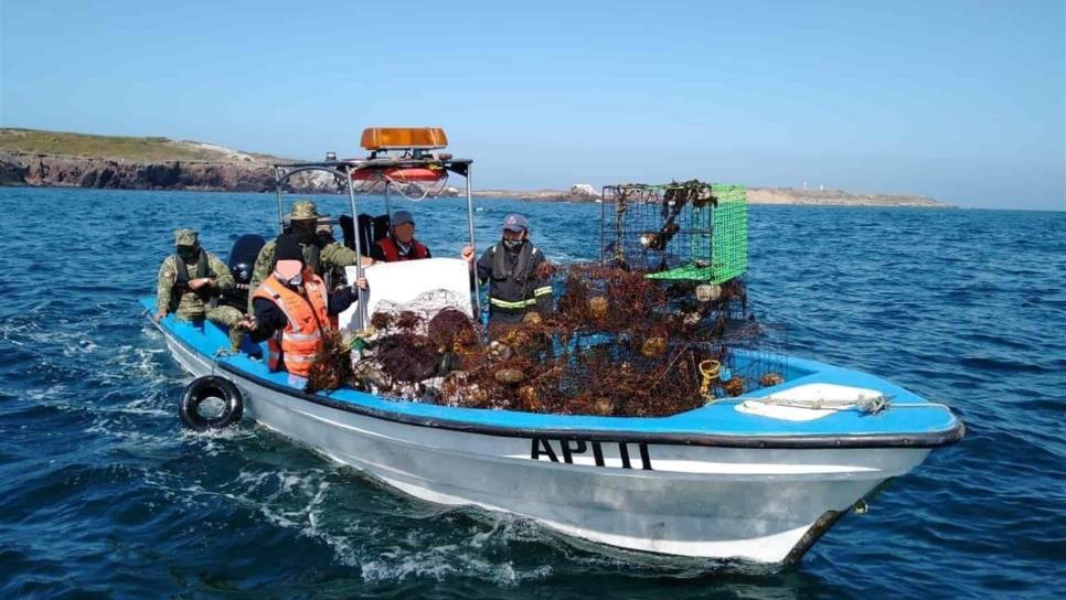 Refuerzan operaciones de inspección y vigilancia por pesca de camarón