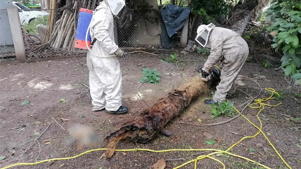 FOTO: Luz Noticias | Archivo.