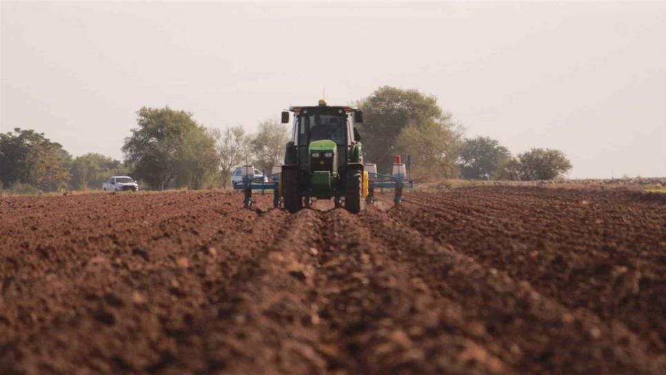 Arranca formalmente ciclo agrícola en Sinaloa