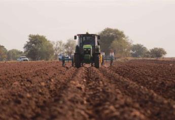 Ya hay fecha para planificar ciclo agrícola en Sinaloa