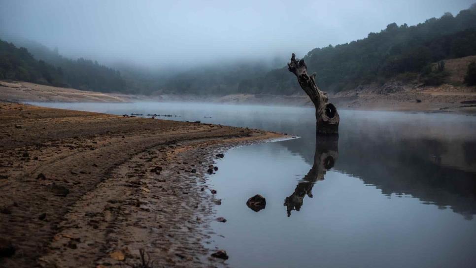 Europa se encamina hacia un futuro de mayores sequías severas y extremas