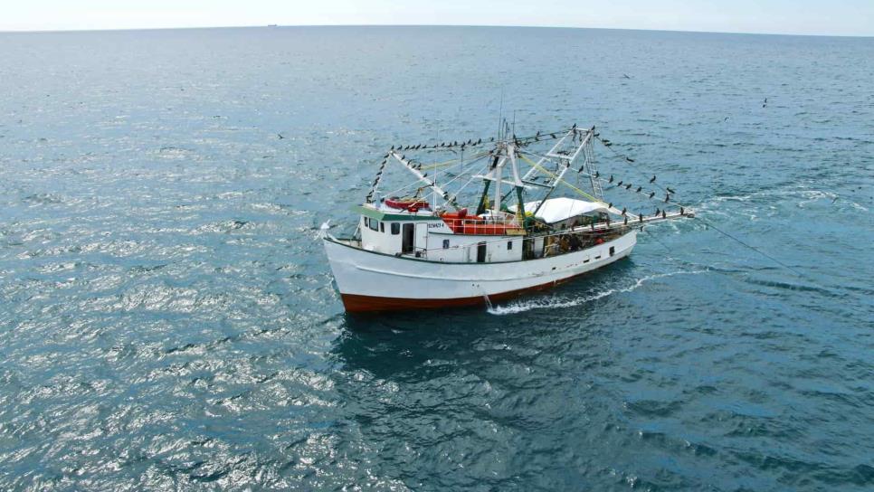 Pesca en México se encuentra en buen estado: Inapesca
